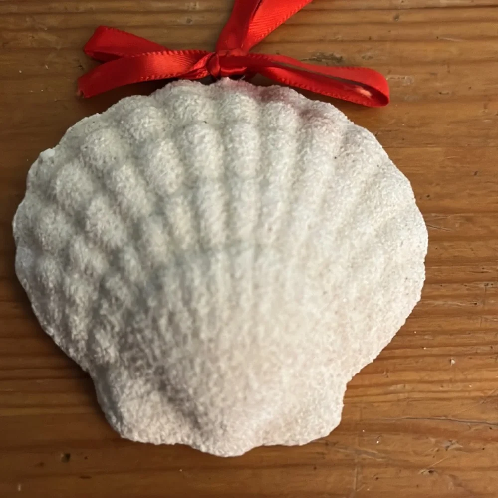 Scallop sea shell ornament. Made with sand! EUC!